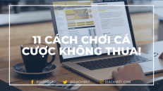 Top 11 cách chơi cá cược bóng đá hiệu quả nhất!
