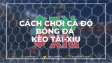 Cá độ bóng đá tài xỉu là gì? Bật mí bí quyết chơi "thần sầu"!